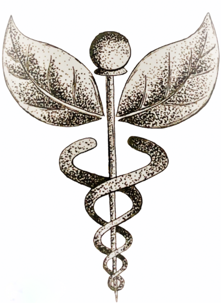 Absolute Acupuncture & Stress Relief