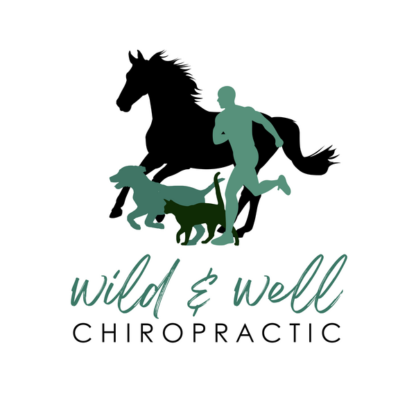Wild & Well Chiropractic